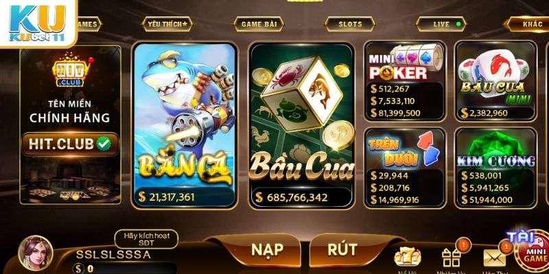 Xác minh tên miền